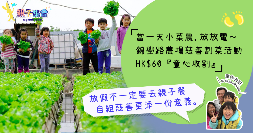 【專欄作家：童你去玩】慈善『童心收割』當一天小菜農～香港錦壆路農場割菜活動   