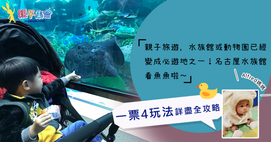 【專欄作家：Alfred媽媽】親子旅遊水族館不能少，名古屋水族館看魚魚，一票4玩法詳盡全攻略！