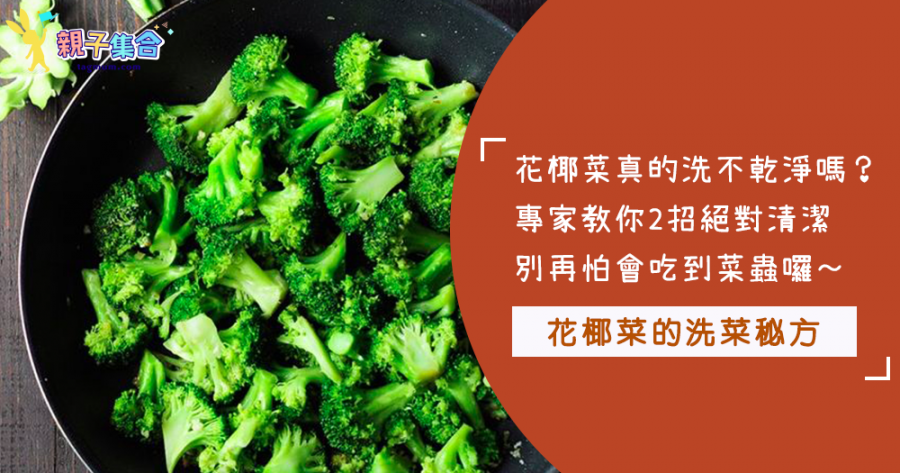 最怕煮飯洗菜不乾淨了！最容易長菜蟲「花椰菜」這樣洗最好～這2種方法教給大家，不會再怕吃到蟲了！