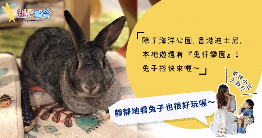 【專欄作家：帶住小孩去旅行】除了海洋公園﹑迪士尼，香港還有....？香港本地遊–兔仔樂園