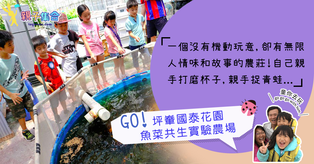 【專欄作家：童你去玩】GO出走吧！坪輋國泰花園魚菜共生實驗農場