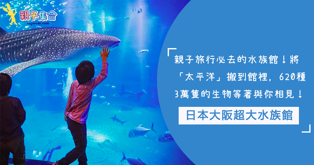 親子旅行必去的水族館！日本大阪水族館，將「太平洋」搬到館裡，15個展館，620種3萬隻的生物等著與你相見！