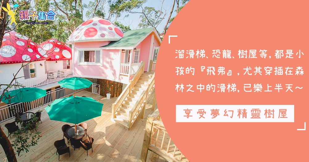 真正投奔大自然！台灣親子「精靈樹屋」，享受童話故事的森林和夢幻遊戲世界