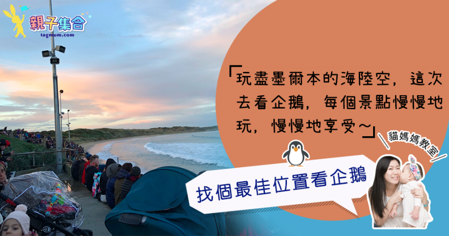 【專欄作家：貓媽媽教室】玩盡墨爾本的海陸空 「Philip Island企鵝篇」