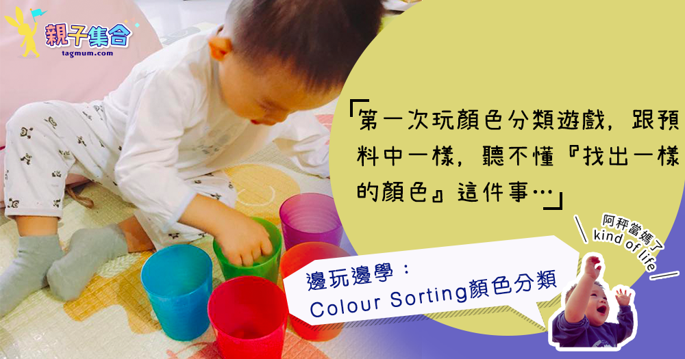 【專欄作家：阿秤當媽了】Tot School邊玩邊學：Colour Sorting顏色分類