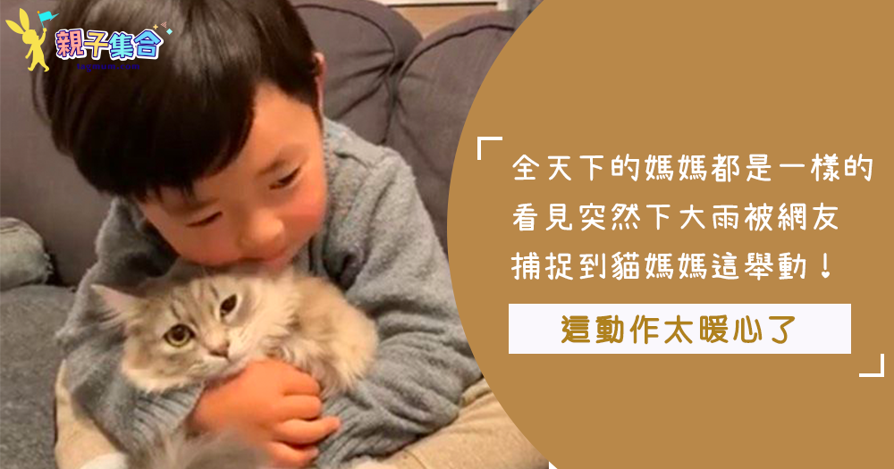 世界上的媽媽都很偉大！日本網友拍下這隻貓媽媽，因為下大雨急忙找孩子～暖心對小貓做了這個舉動！