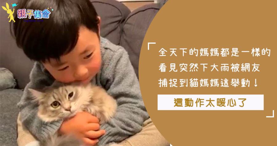 世界上的媽媽都很偉大！日本網友拍下這隻貓媽媽，因為下大雨急忙找孩子～暖心對小貓做了這個舉動！